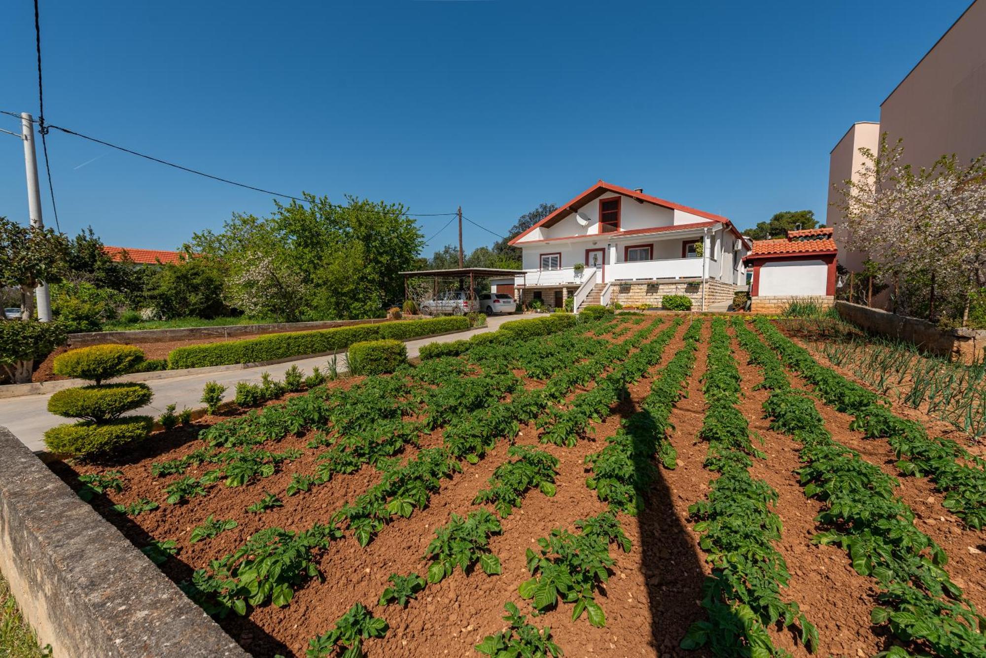 Floyd Apartment Бибине Екстериор снимка